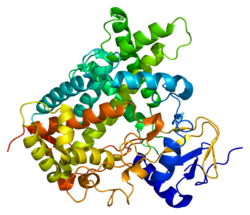 250px-Protein_CYP2C19_PDB_1r9o