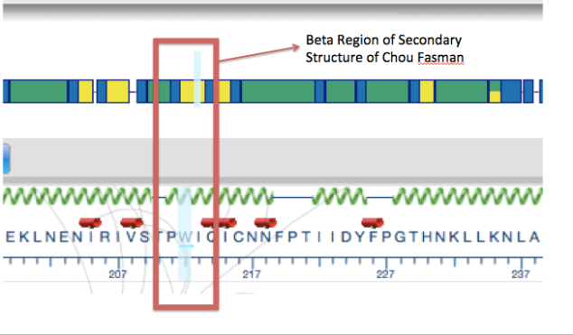 Chou Fasman Secondary Structure prediction