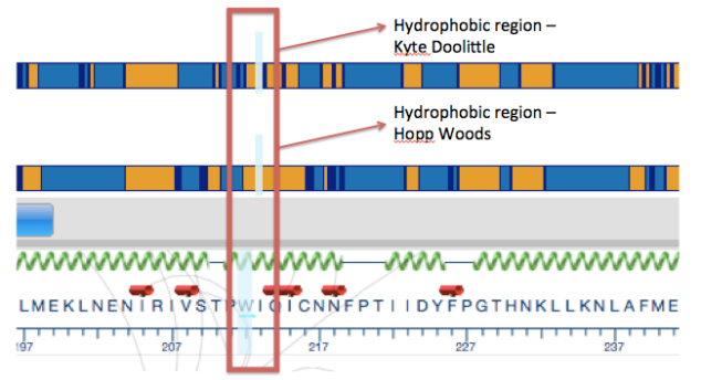 Kyte-doolittle and Hopp Woods Hydrophilicity plots
