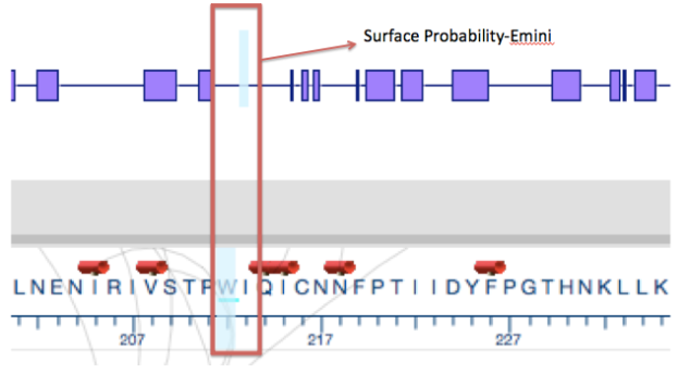 Emini Surface Probability Algorithm