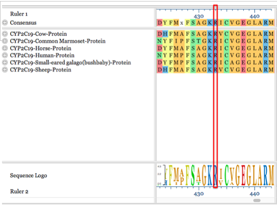 Sequence Comparison-Highlighting Variant Site R433W for CYP2C19 gene